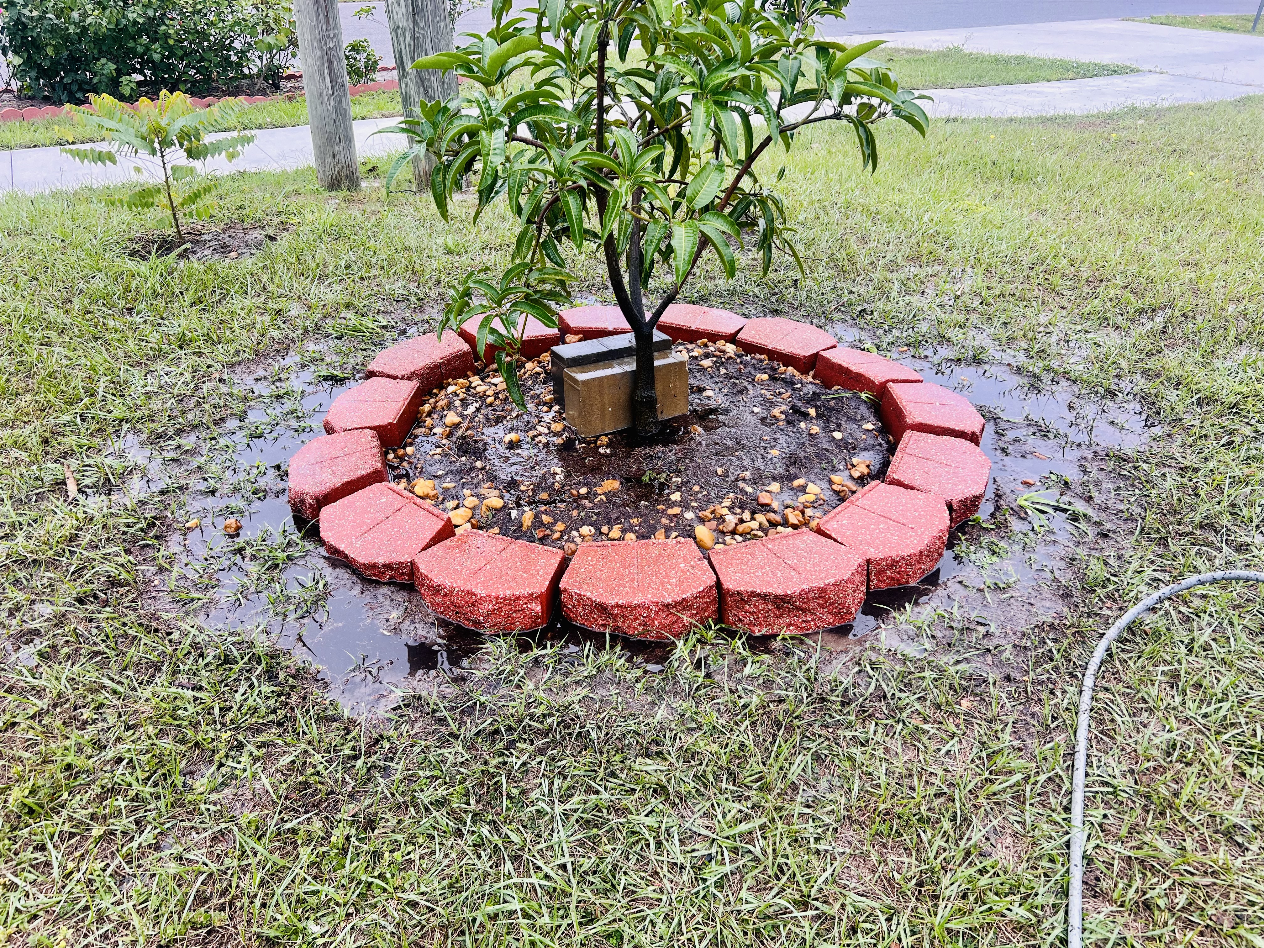 Stone Decor Cleaning in Orlando Florida!